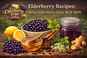 Elderberry Recipes: What Elderberry Pairs Well With